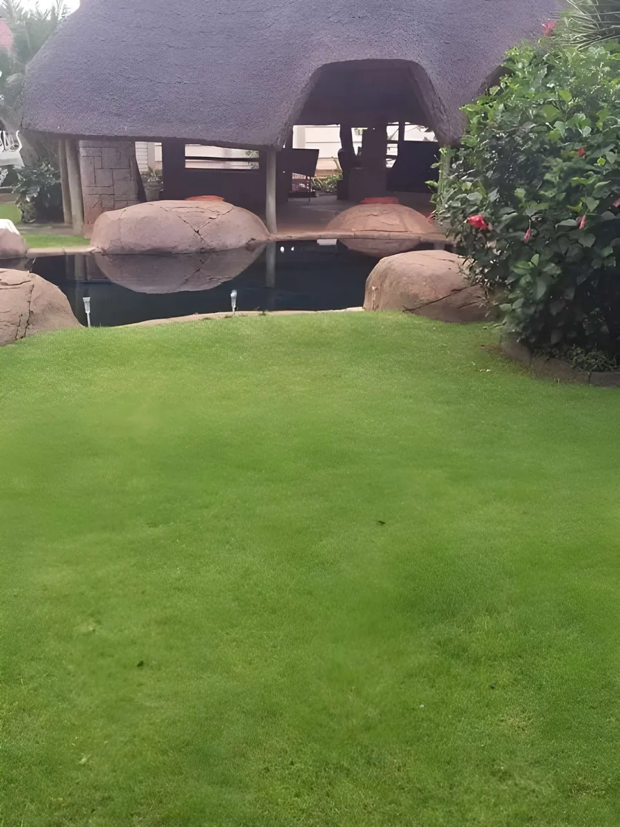 The thatched lapa reflected in the rock pool, with the garden lawn in front