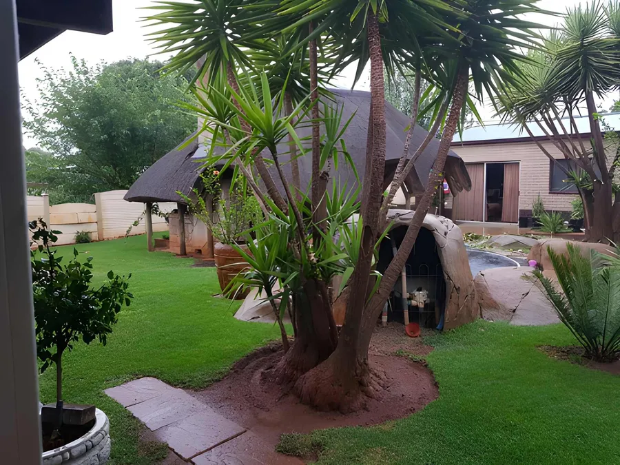 Palm trees casting shade on the green lawn
